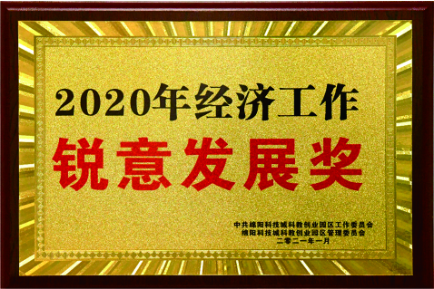 2020经济锐意发展